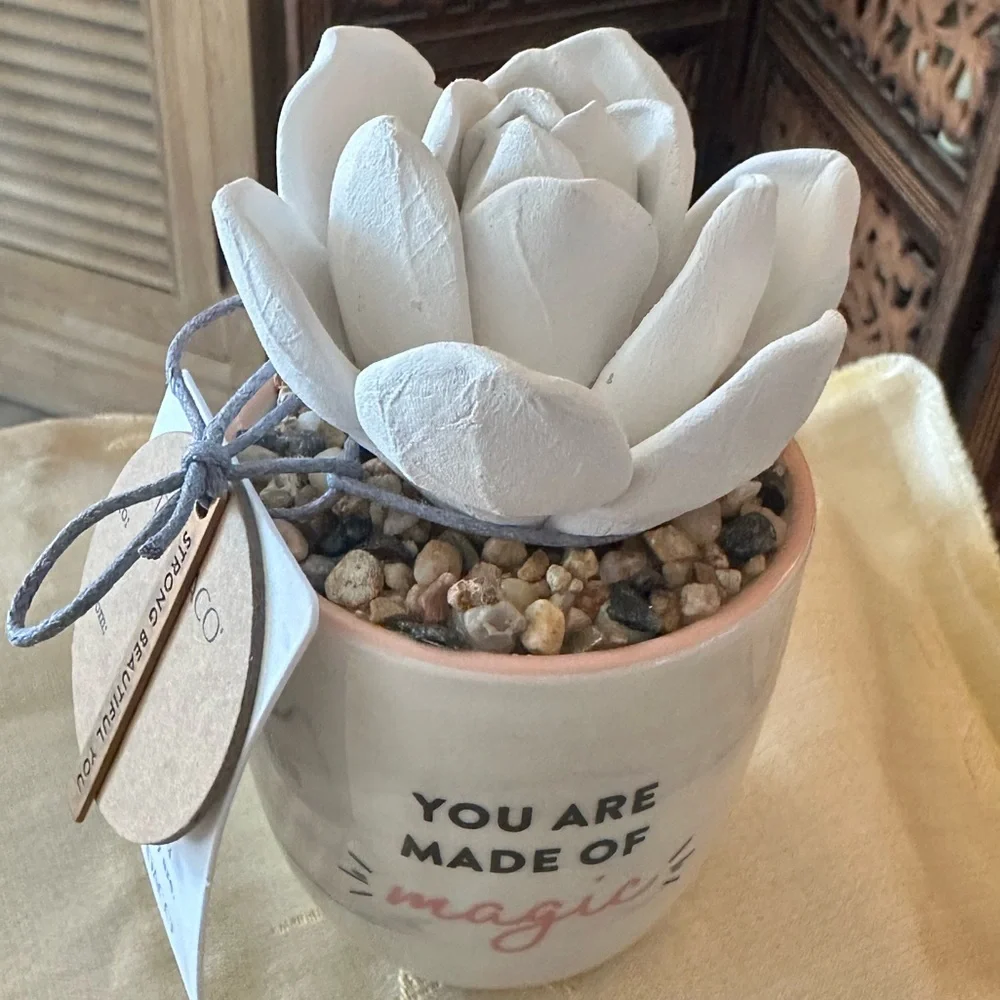 Demdaco Succulent Stoneware Essential Oil Diffuser. You Are Made Of Magic.